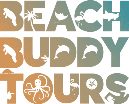 Beach Buddy Tours