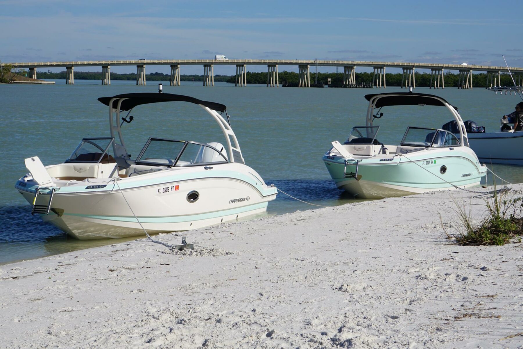 Cape Coral Dolphin Tours Dolphin, Shelling & Sightseeing Tours